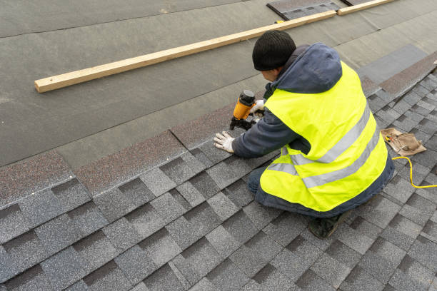 Best Roof Waterproofing Services  in Hainesvle, IL