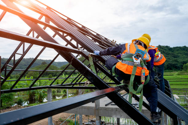 Best Metal Roofing Contractor  in Hainesvle, IL