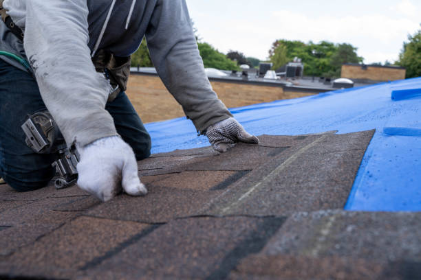 Best Roof Repair Services  in Hainesvle, IL