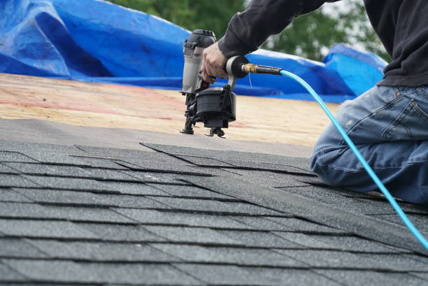 Best Residential Roofing Contractor  in Hainesvle, IL